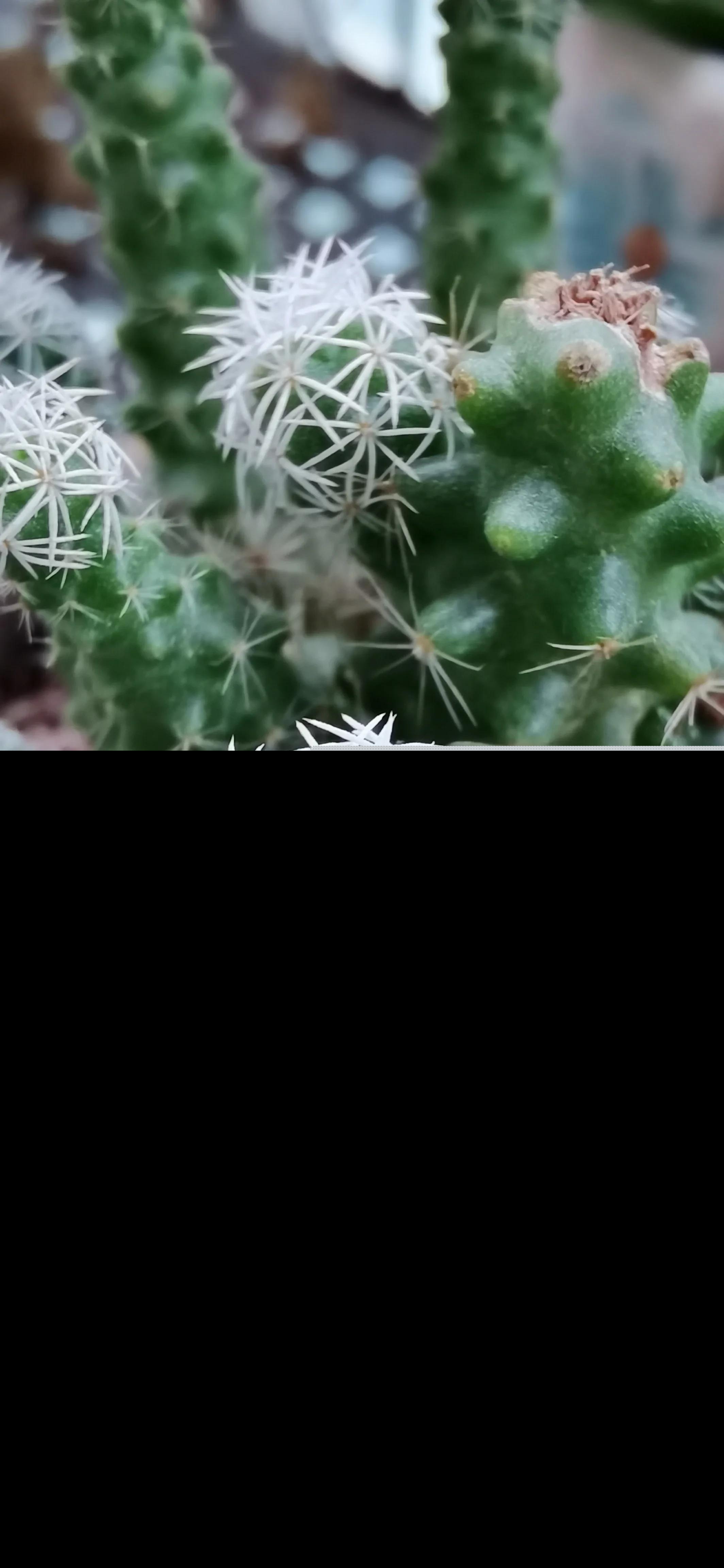 稻盛和夫100经典语录（稻盛和夫的人生感悟） 第7张