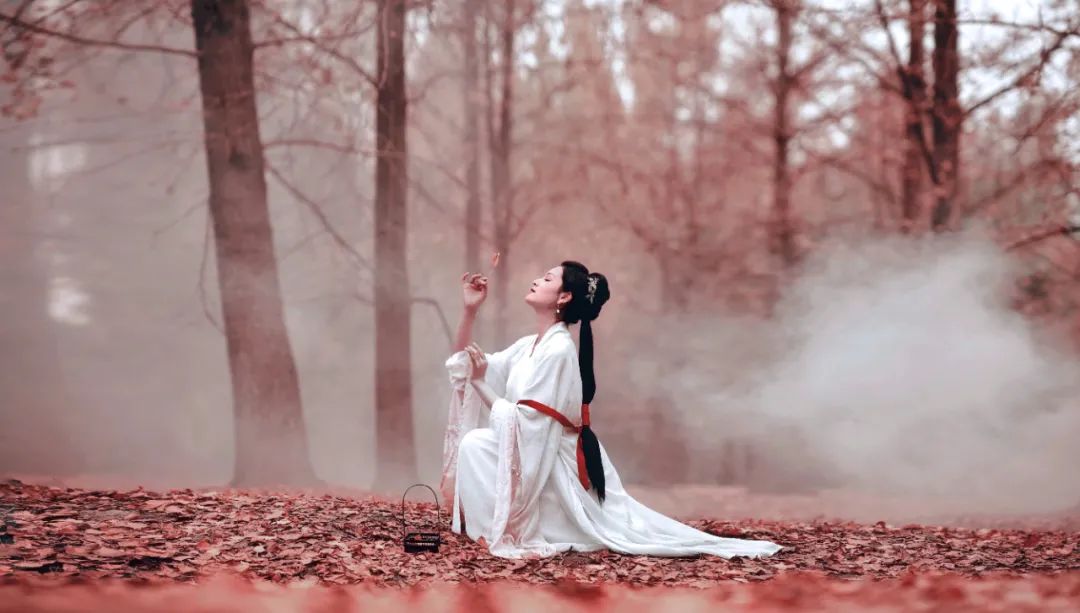 形容心情不好的诗句（表达心情低落的古诗词） 第3张