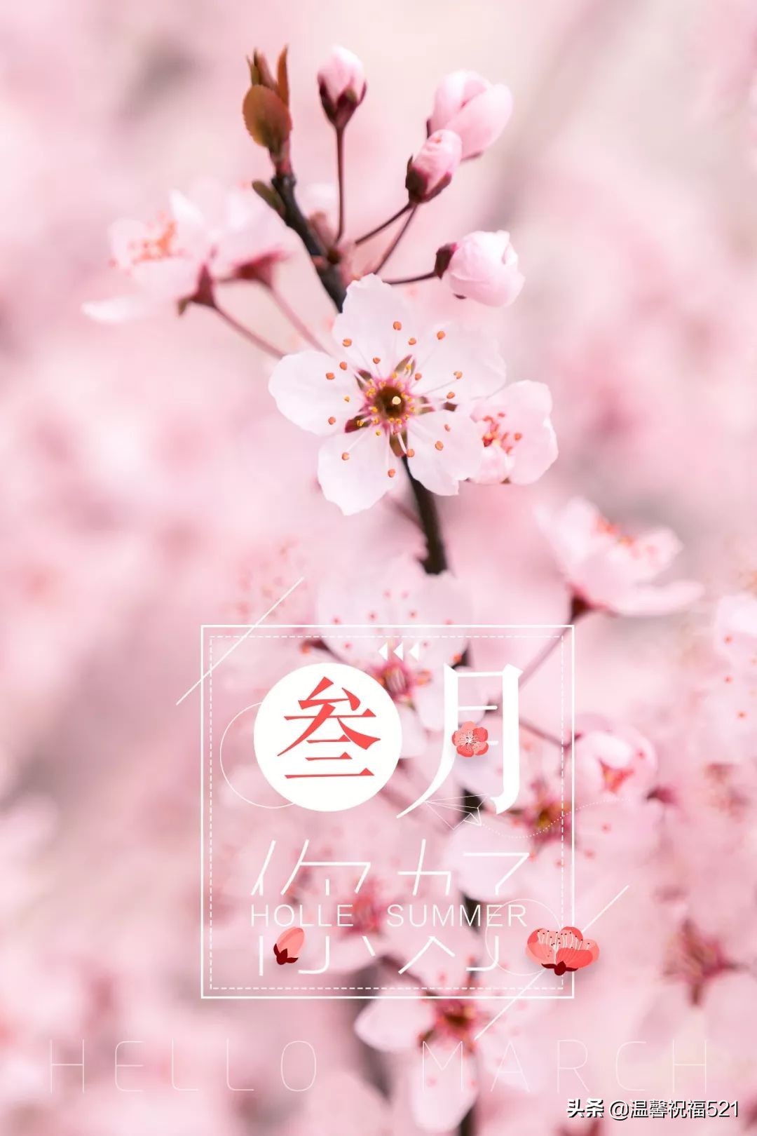 三月祝福语最温馨的话（赞美阳春三月的短句） 第5张