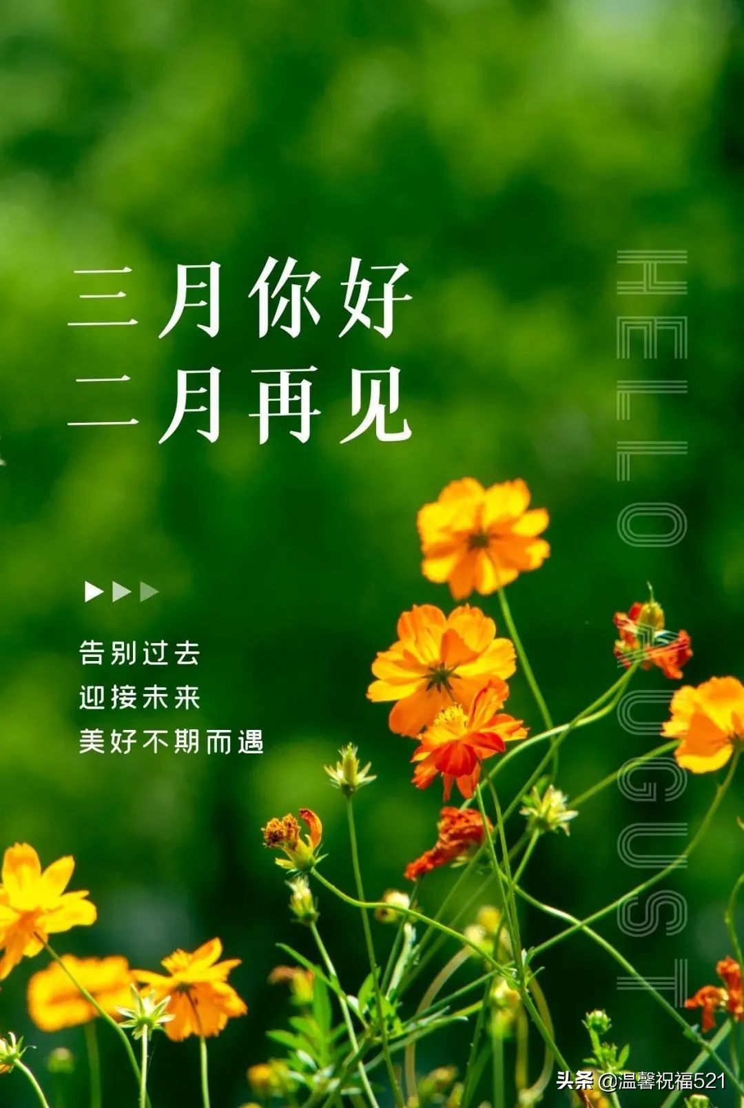 三月祝福语最温馨的话（赞美阳春三月的短句） 第7张