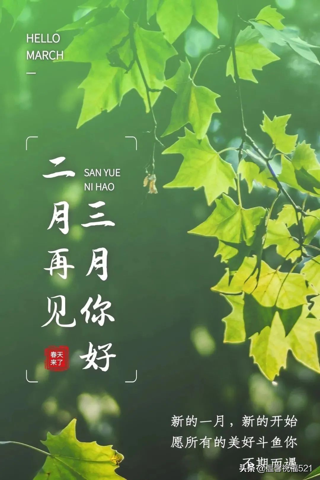 三月祝福语最温馨的话（赞美阳春三月的短句） 第11张