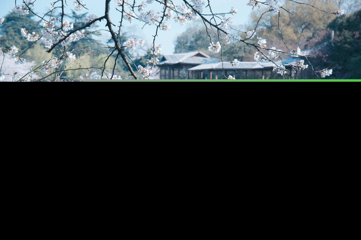 咏物言志诗有哪些(咏物言志诗代表作品) 第1张