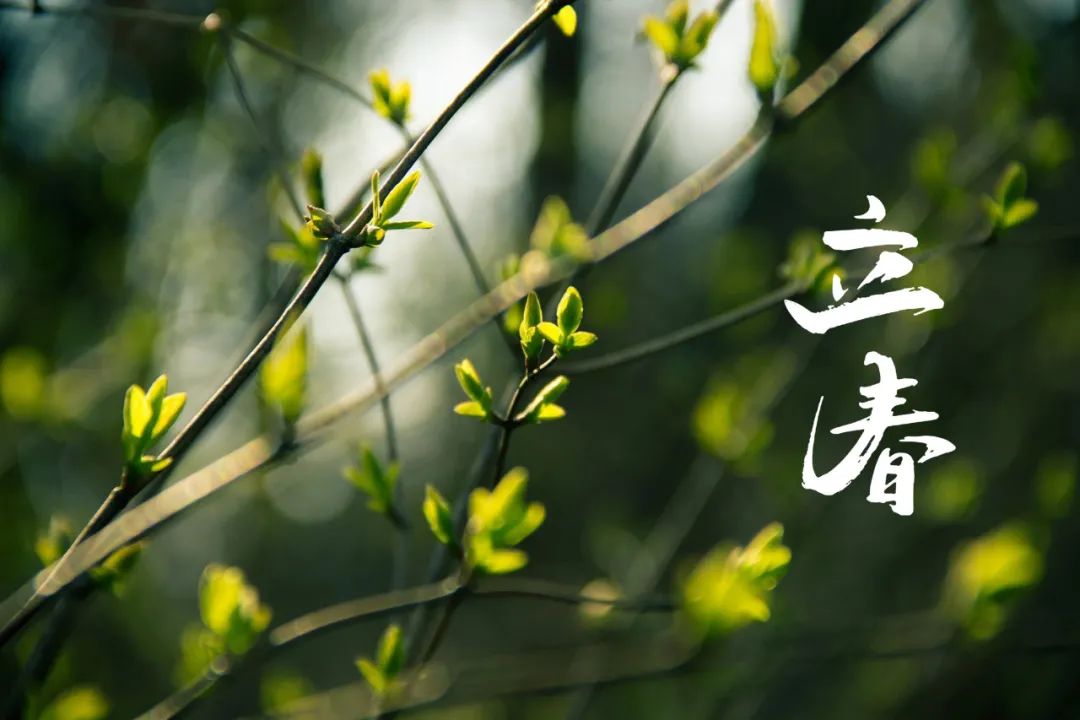 描写立春的诗句（关于立春的经典诗） 第21张