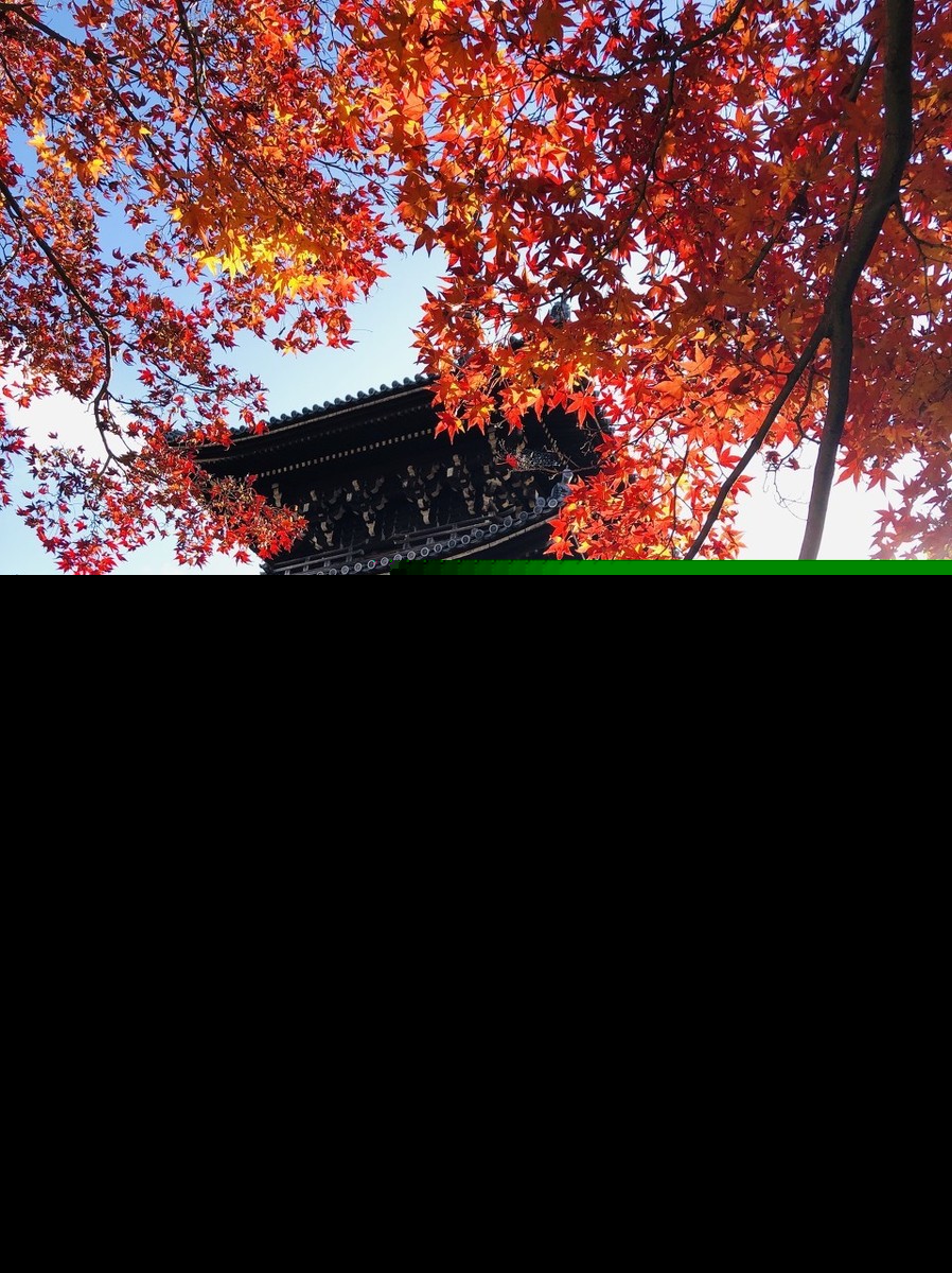 关于火的诗句有哪些（关于赞美火的诗句名言） 第23张