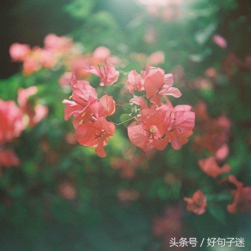 古风句子虐心短句（催人泪下的伤感语录） 第7张