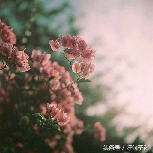 古风句子虐心短句（催人泪下的伤感语录） 第11张