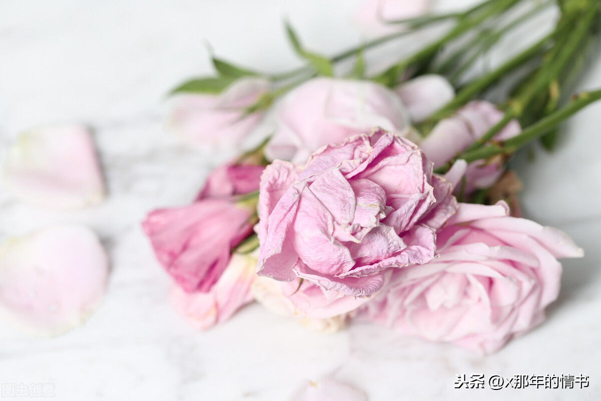 幸福唯美爱情语录短句（最值收藏的百条爱情说说） 第5张