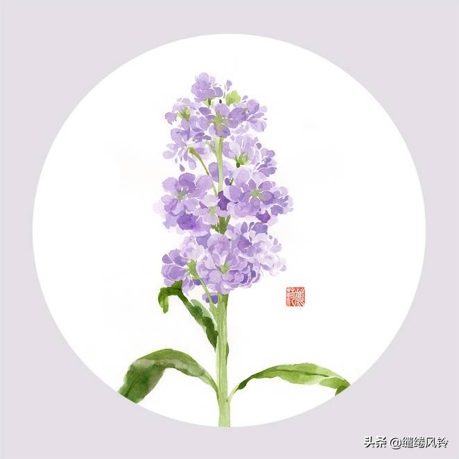 带有花字的诗有哪些（赞美花的优美诗句） 第11张