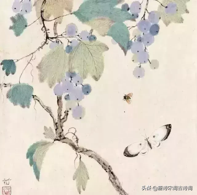 珍惜时间的诗句有哪些（时光匆匆的唯美句子） 第1张