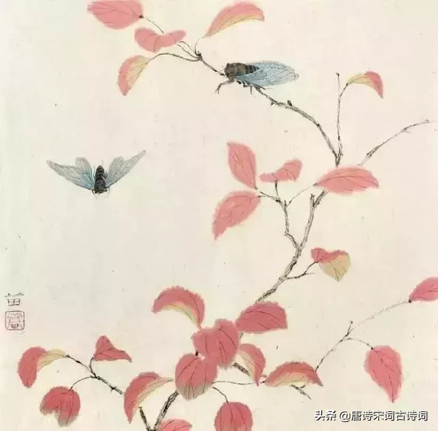 珍惜时间的诗句有哪些（时光匆匆的唯美句子） 第9张