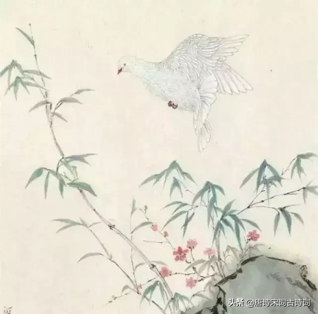 珍惜时间的诗句有哪些（时光匆匆的唯美句子） 第29张