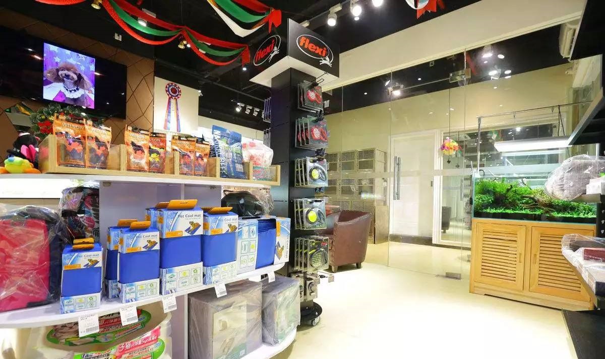 这家宠物店老板太会做生意，开业一个月暴赚百万，每天生意火爆 第1张