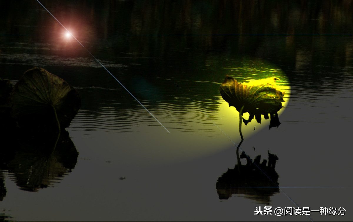荷塘夜色朱自清原文赏析（荷塘夜色赏析及段落大意） 第13张