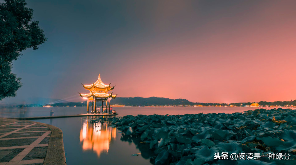荷塘夜色朱自清原文赏析（荷塘夜色赏析及段落大意） 第15张