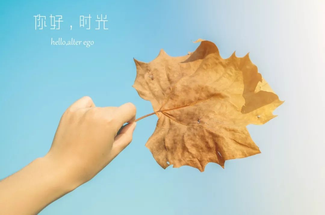 唯美名句名段摘抄大全（精选这50条爱情格言） 第11张