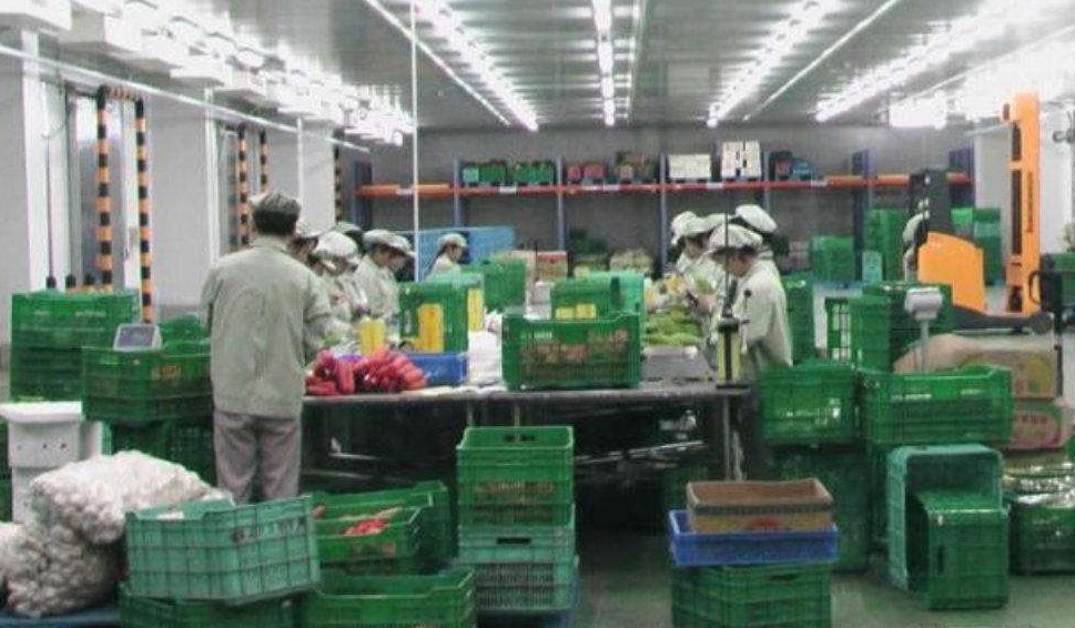 菜店老板简直是商业鬼才！买3万送10万，每个月净赚20万 第5张