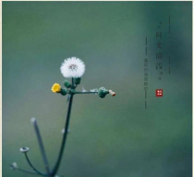 现世安稳岁月静好的句子（愿我念之人安好于岁月） 第1张