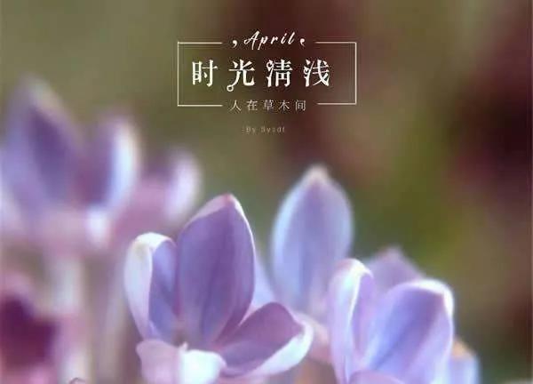 现世安稳岁月静好的句子（愿我念之人安好于岁月） 第9张