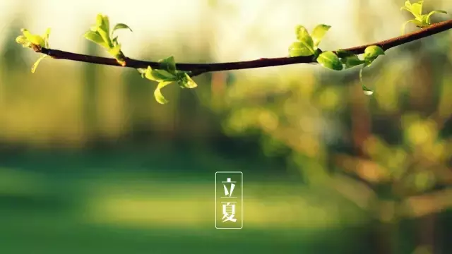 关于立夏的诗句大全（描写立夏的著名古诗） 第1张