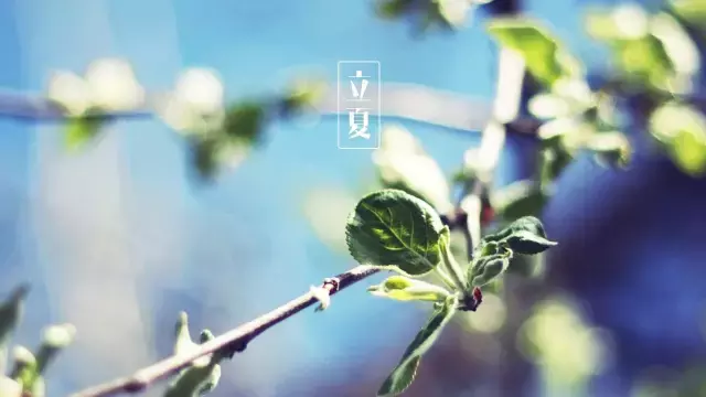 关于立夏的诗句大全（描写立夏的著名古诗） 第11张