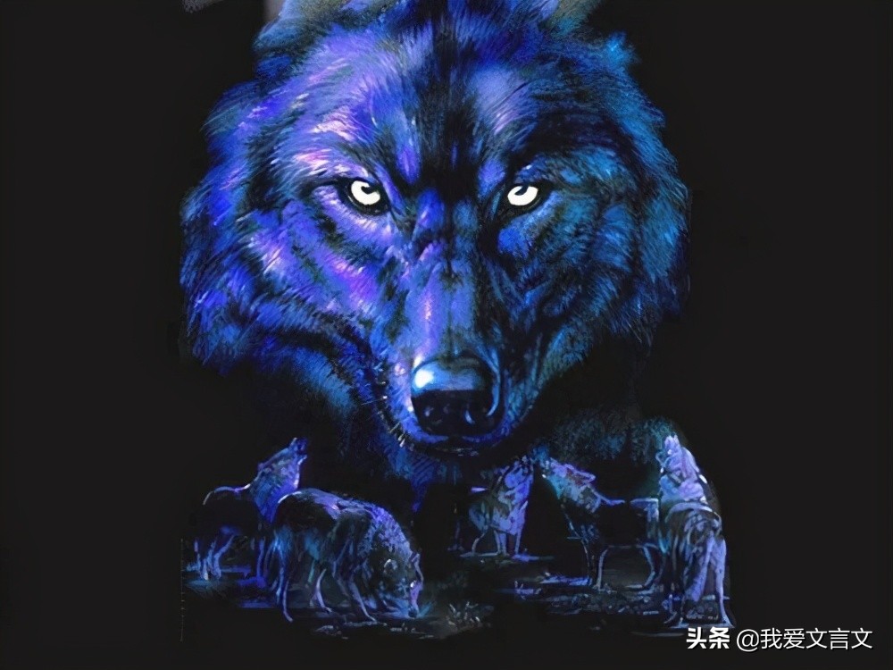 狼子野心文言文翻译（狼子野心的启发） 第3张