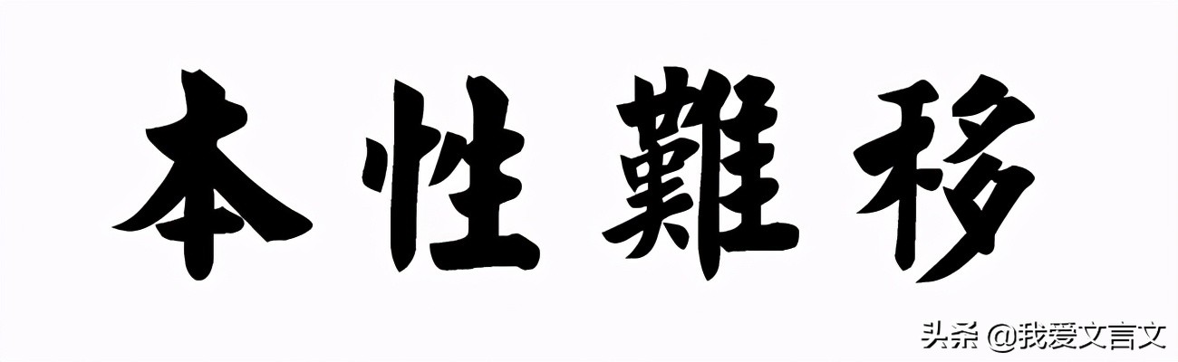 狼子野心文言文翻译（狼子野心的启发） 第11张