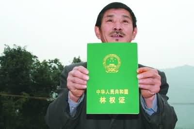 林权证(相关事项说明及办理问题) 第1张