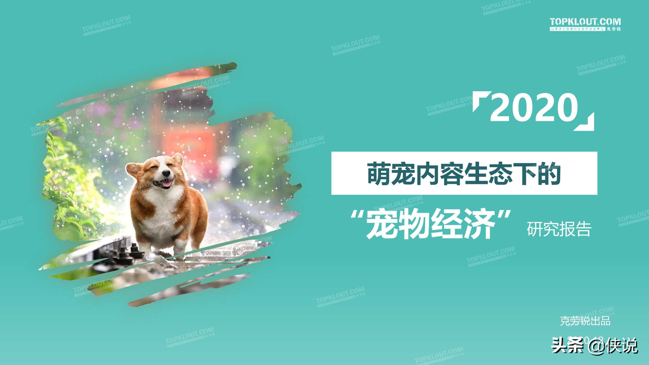 克劳锐：2020萌宠内容生态下的宠物经济 第1张