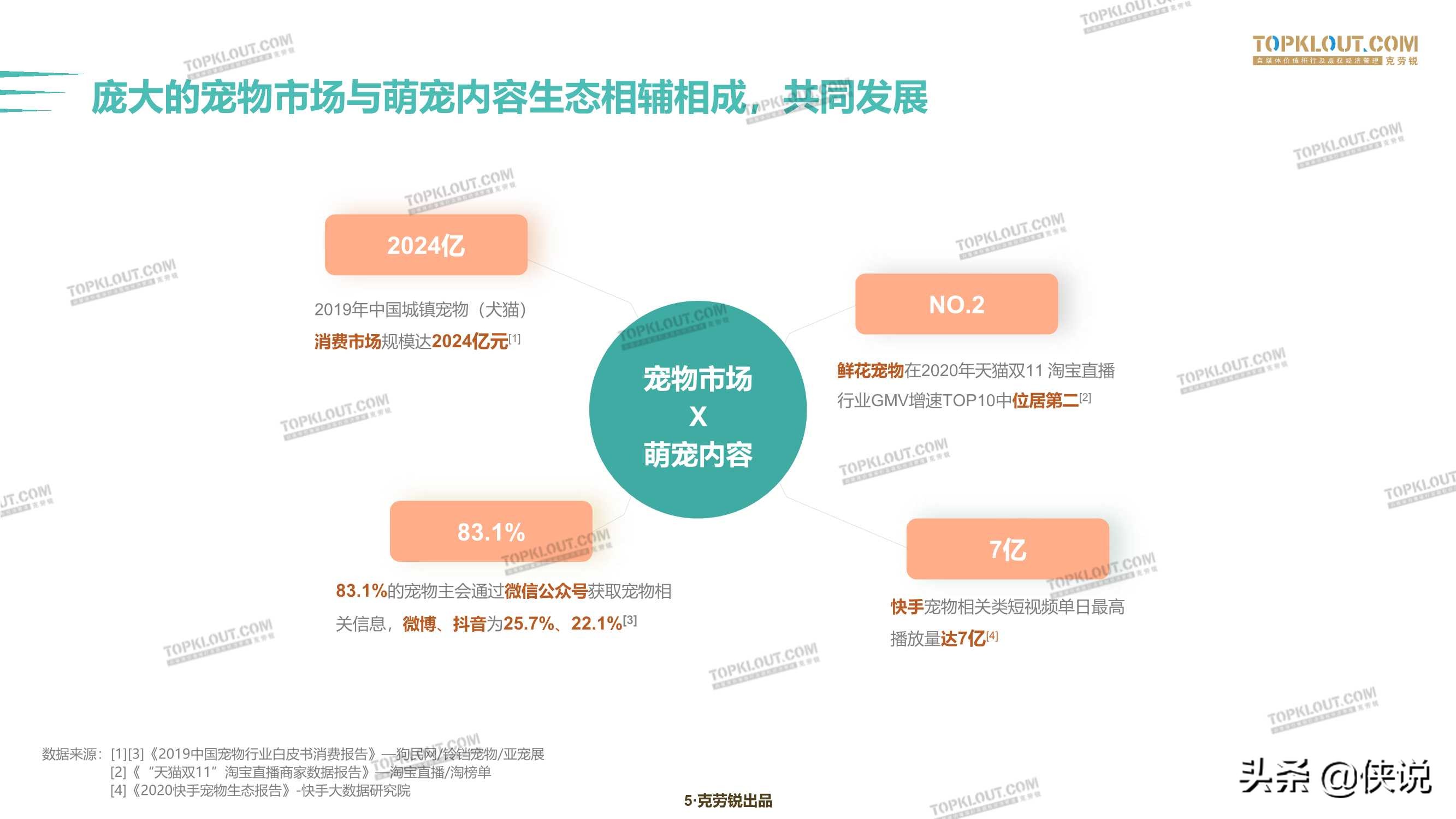 克劳锐：2020萌宠内容生态下的宠物经济 第7张