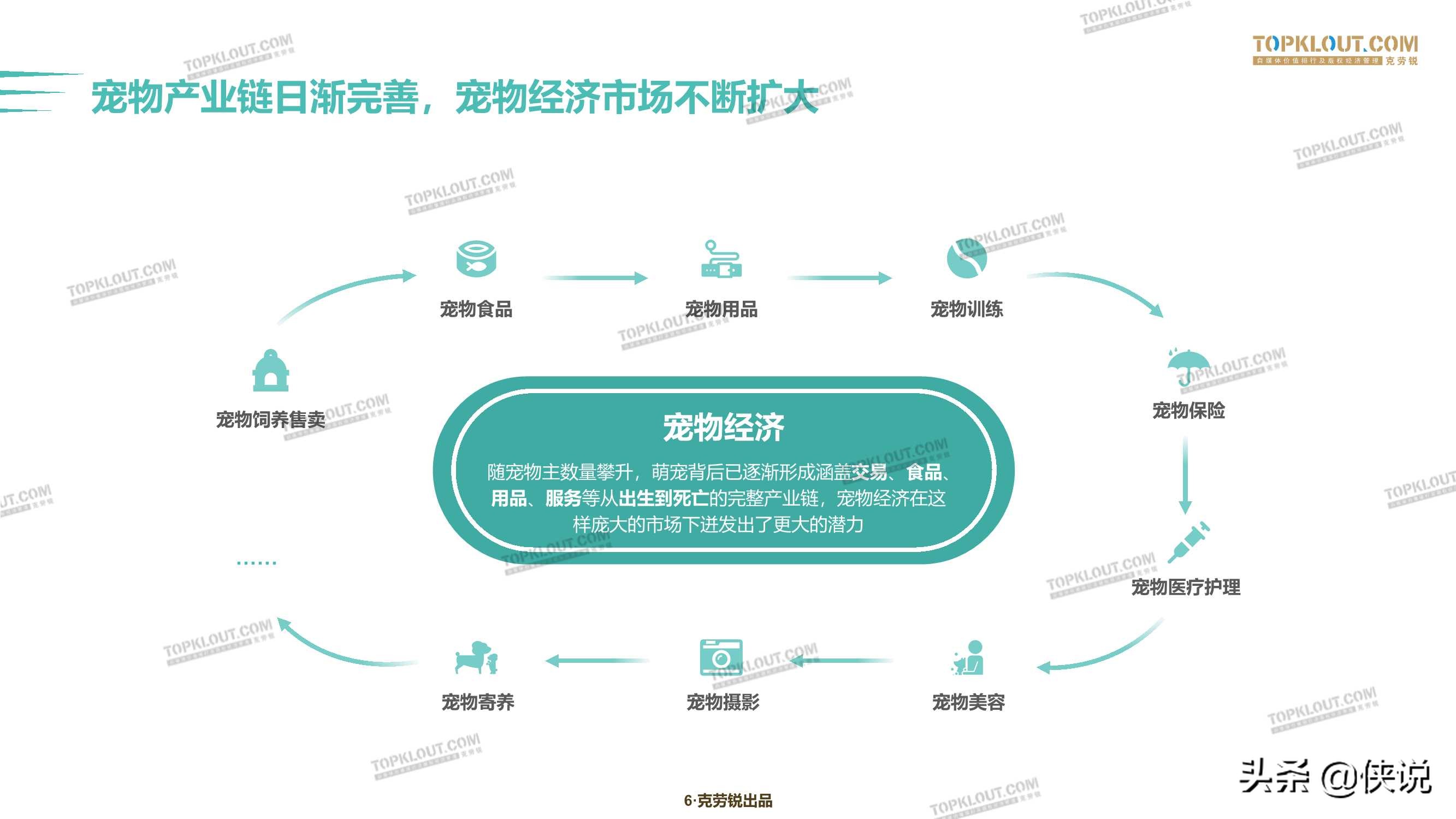 克劳锐：2020萌宠内容生态下的宠物经济 第9张