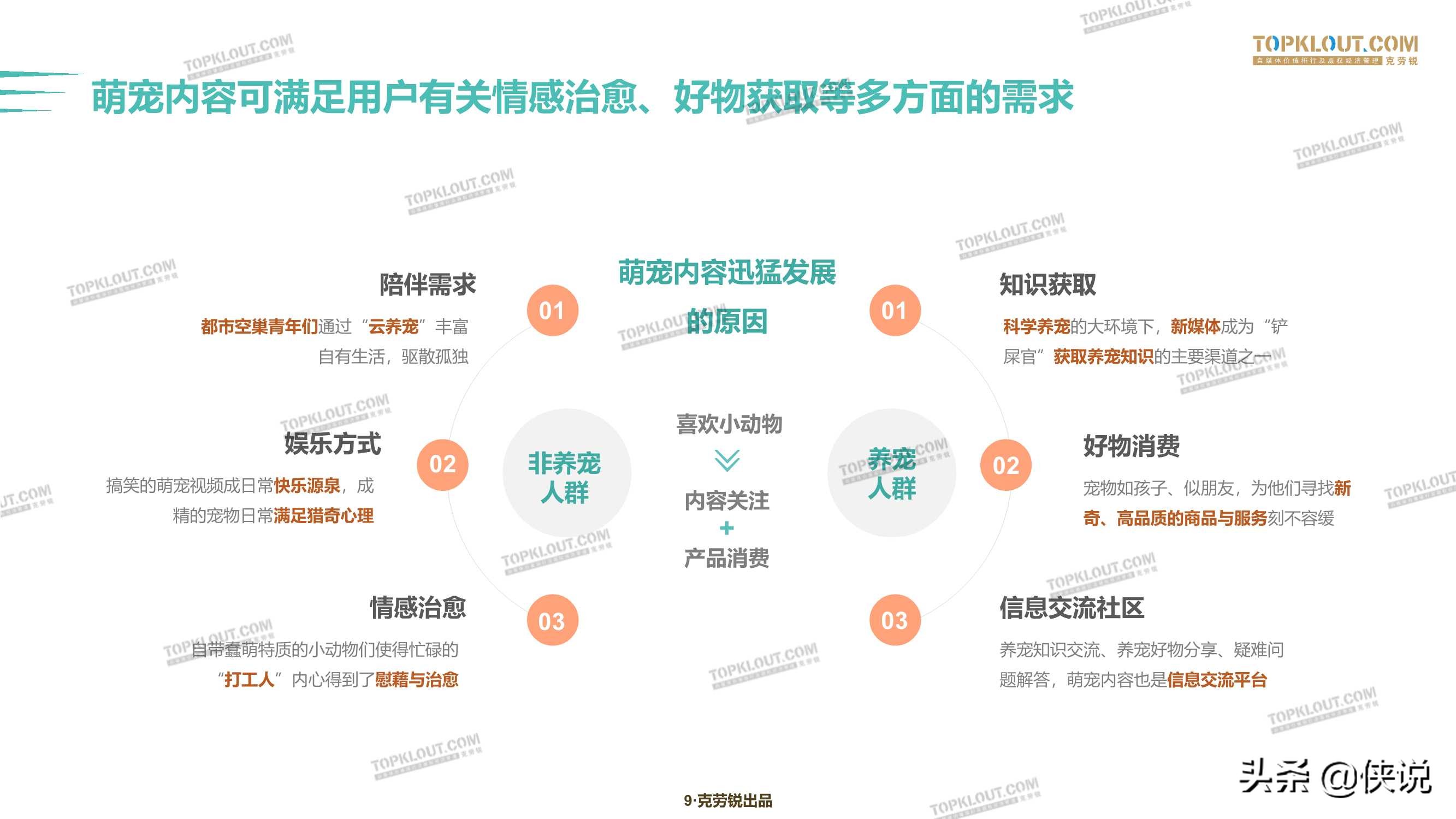 克劳锐：2020萌宠内容生态下的宠物经济 第15张