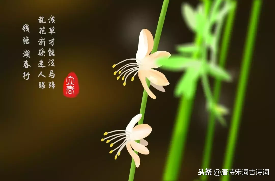 二十四节气古诗大全（二十四节气对应的古诗名句） 第1张