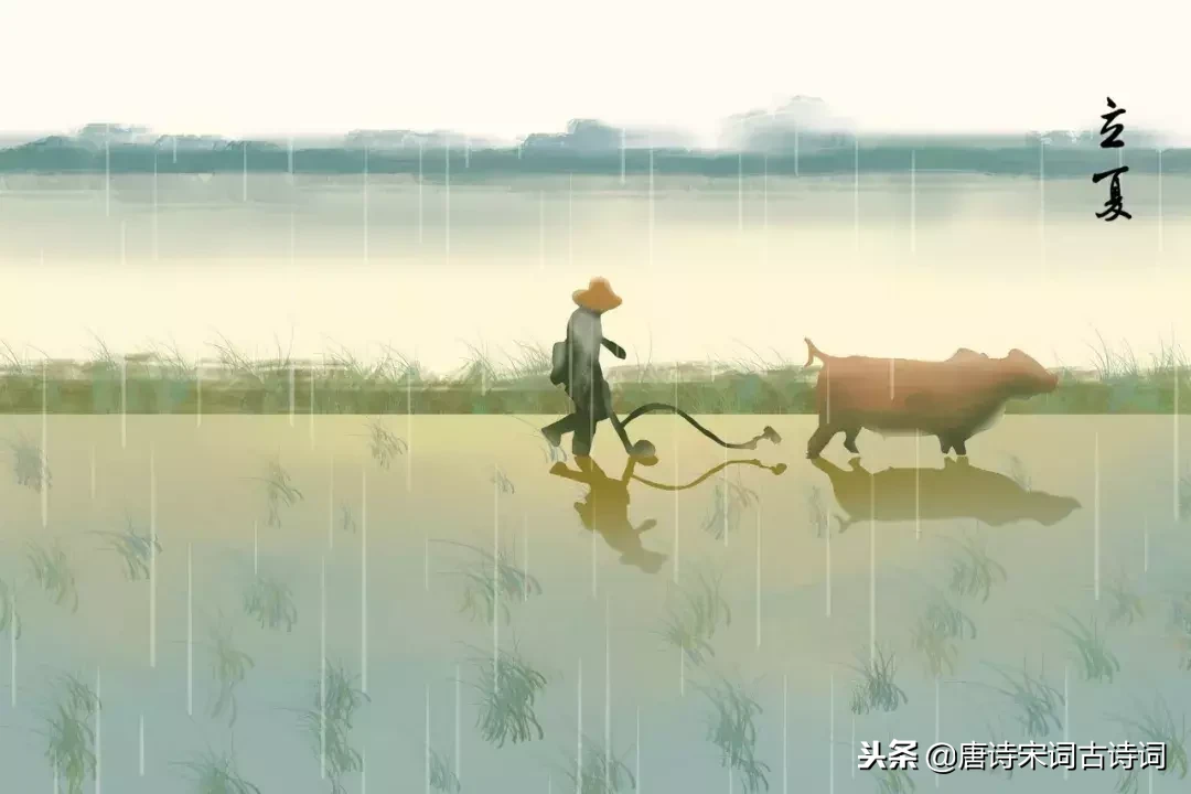 二十四节气古诗大全（二十四节气对应的古诗名句） 第13张