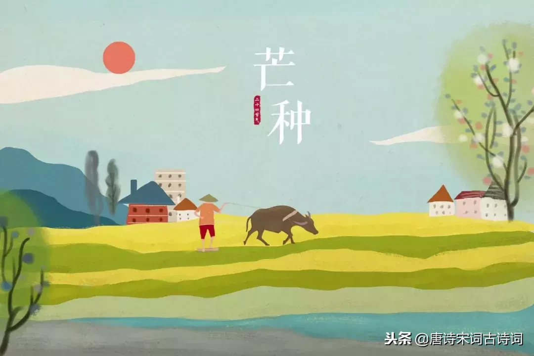 二十四节气古诗大全（二十四节气对应的古诗名句） 第17张