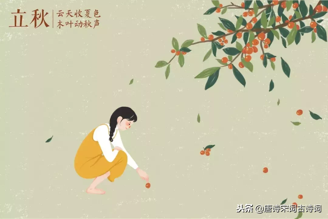二十四节气古诗大全（二十四节气对应的古诗名句） 第25张