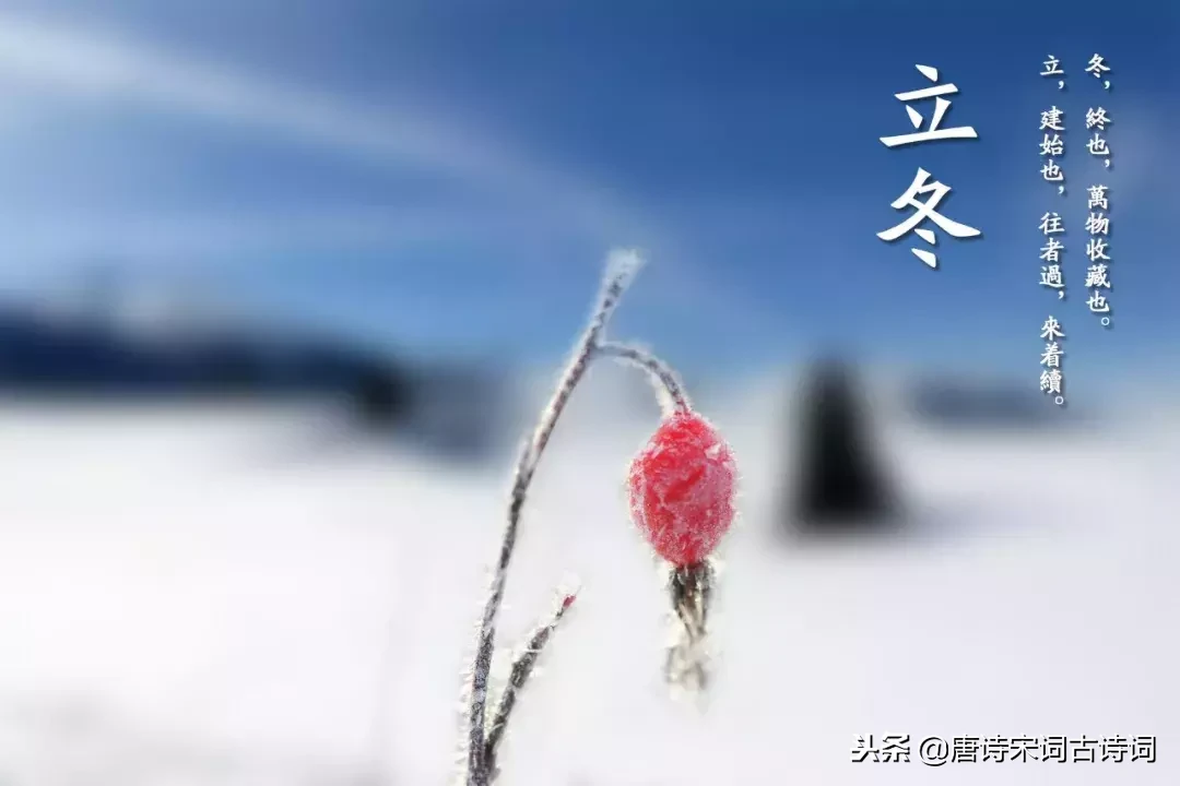 二十四节气古诗大全（二十四节气对应的古诗名句） 第37张
