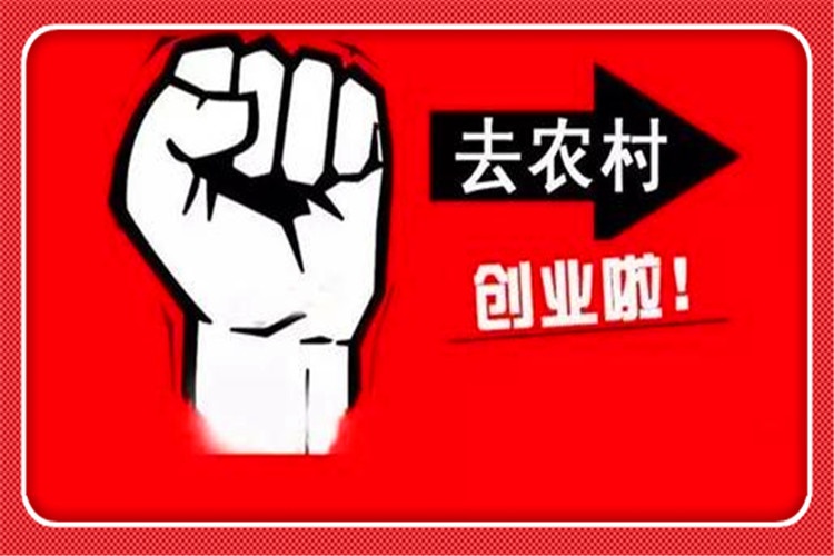 当前的农村，有哪些比较好一些的创业项目，可以快速赚钱呢？ 第1张