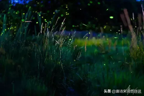 描写晚上星空的句子（赞美夜晚星空之美的古诗） 第1张
