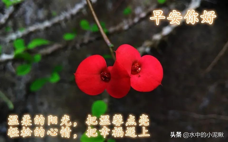 美句摘抄大全励志（关于青春励志的唯美句子） 第3张
