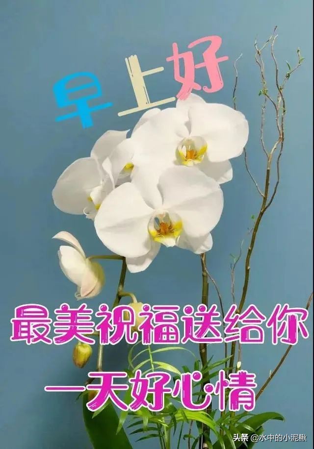 美句摘抄大全励志（关于青春励志的唯美句子） 第9张