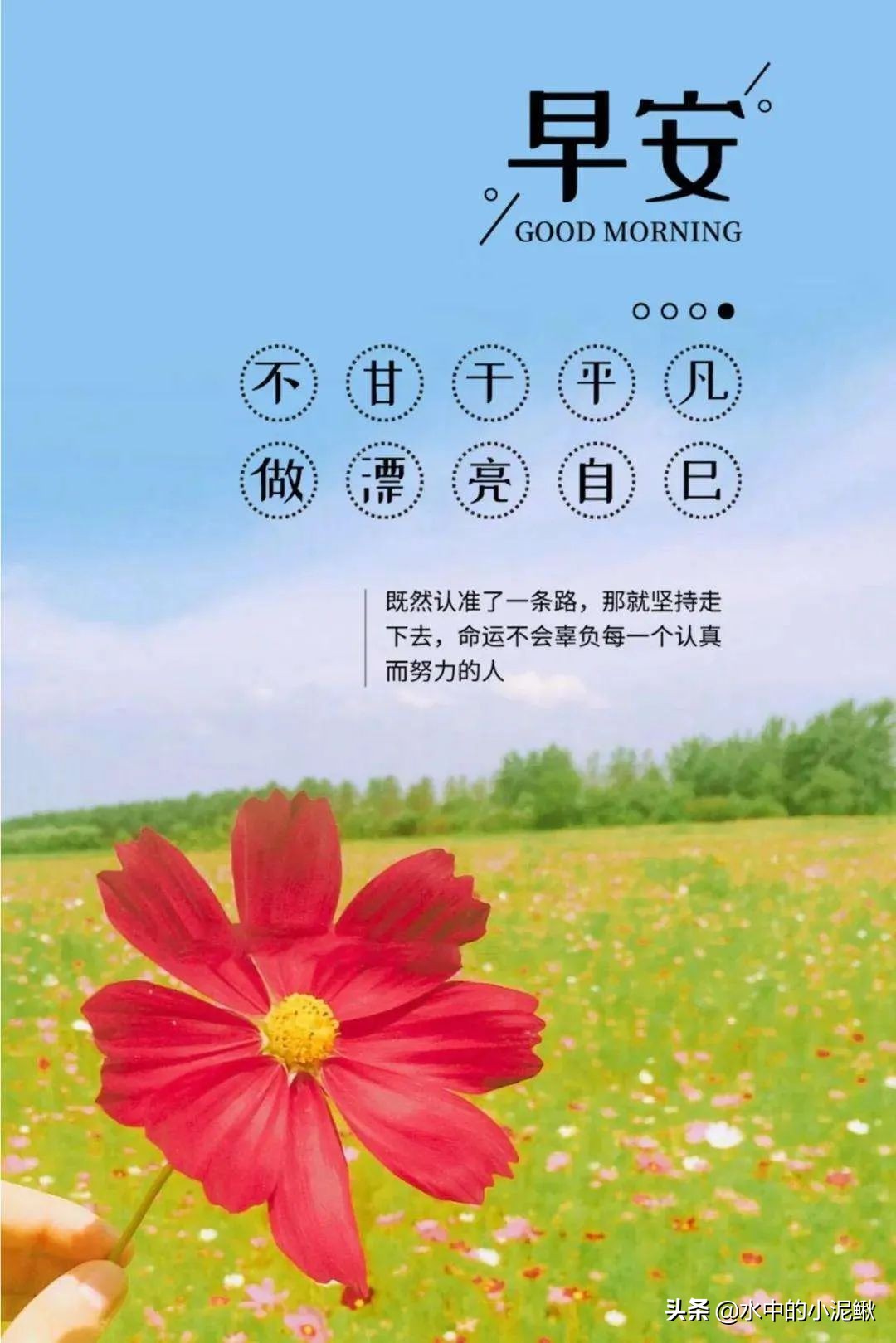 美句摘抄大全励志（关于青春励志的唯美句子） 第11张