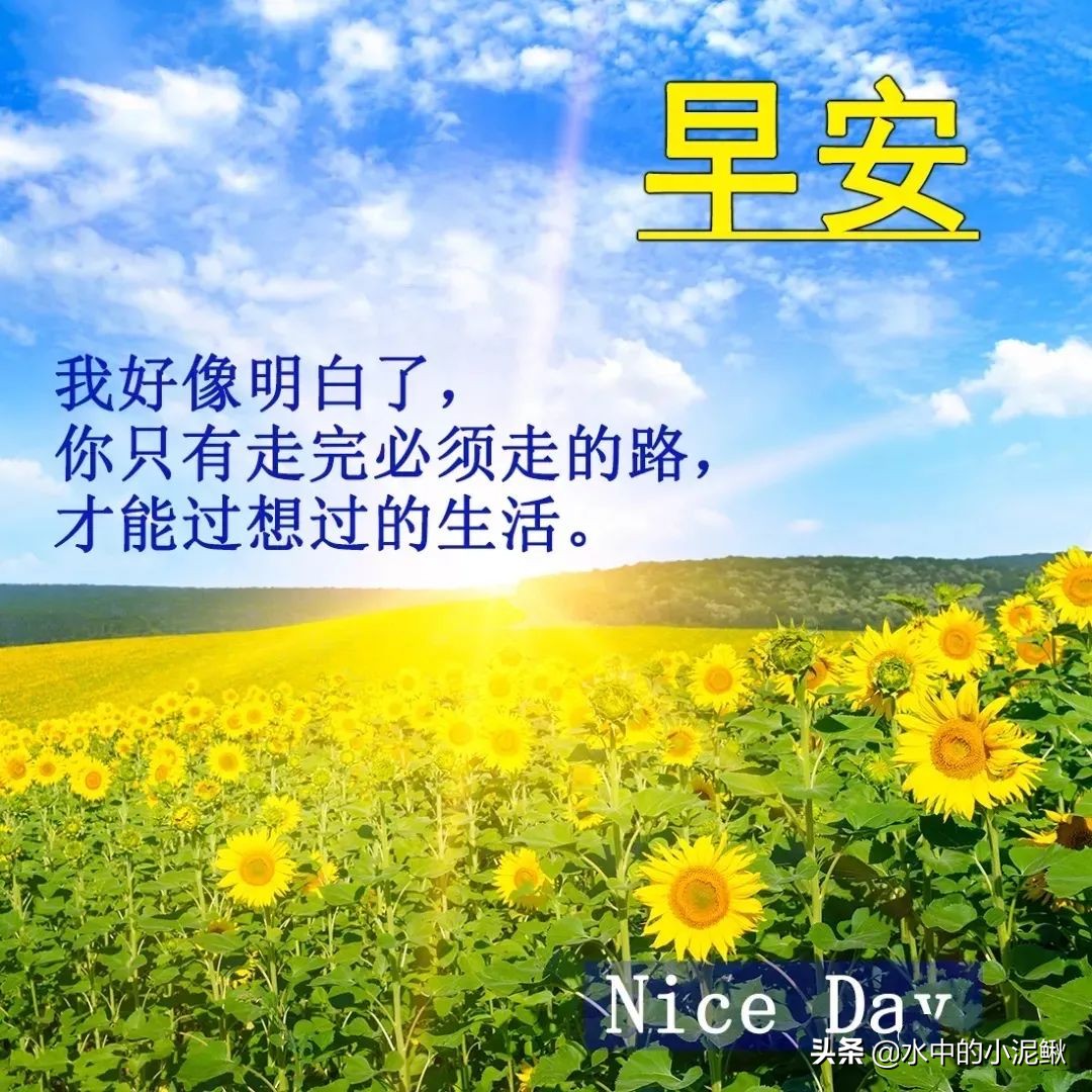 美句摘抄大全励志（关于青春励志的唯美句子） 第15张