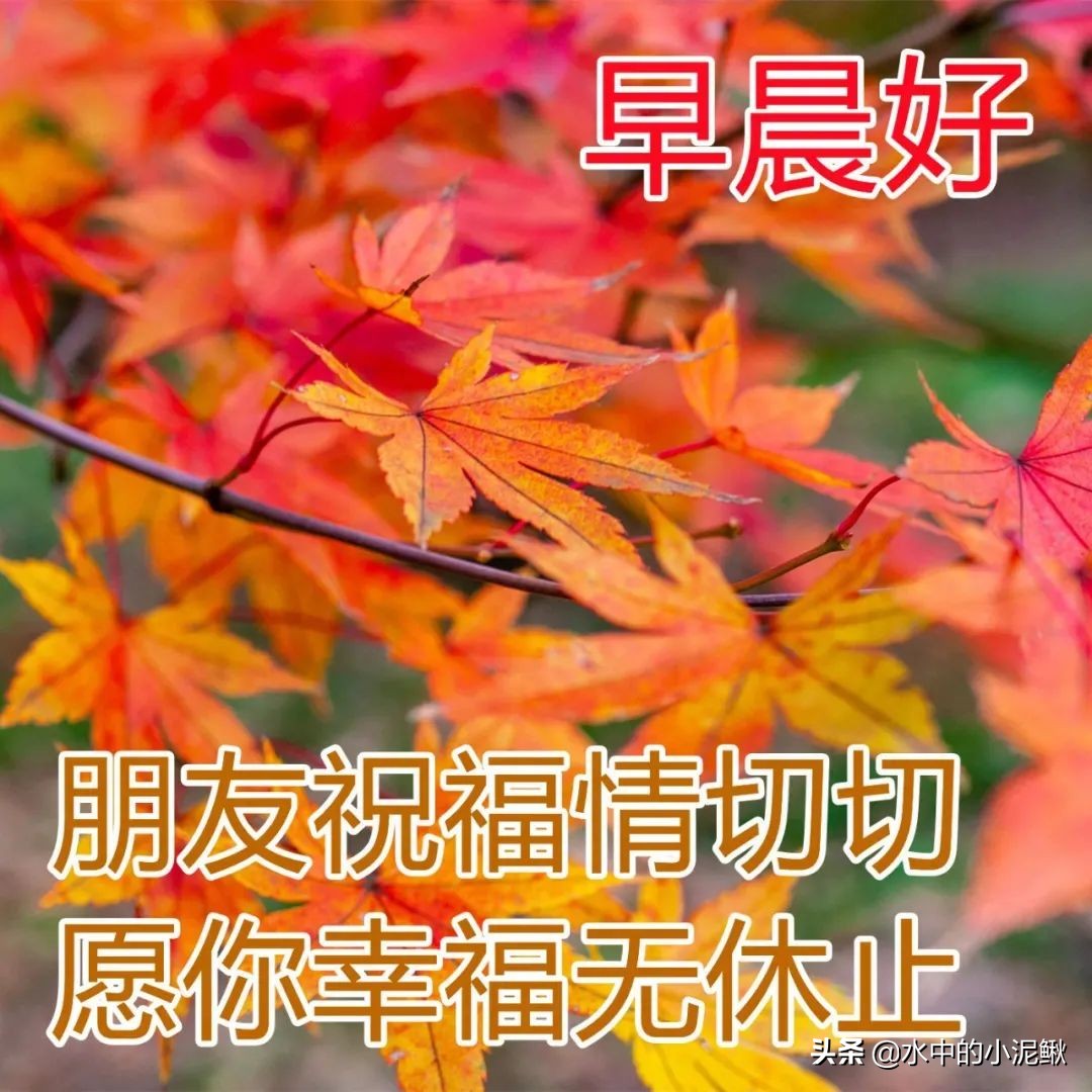 美句摘抄大全励志（关于青春励志的唯美句子） 第17张