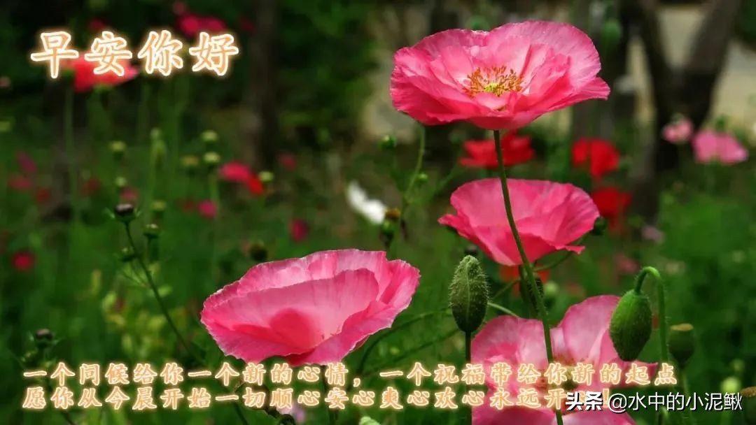 美句摘抄大全励志（关于青春励志的唯美句子） 第19张