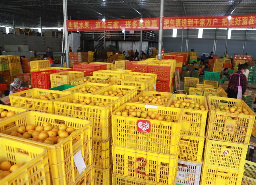 电商壹周｜拼多多开启农产品“原产地直发”，解决了什么问题？ 第1张
