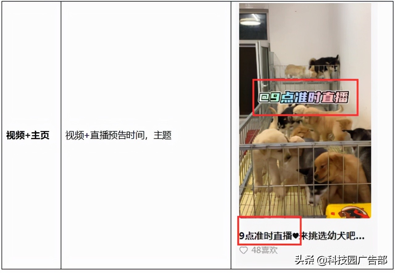 快手运营从0到1：蓝V认证后如何给账号做定位？ 第15张