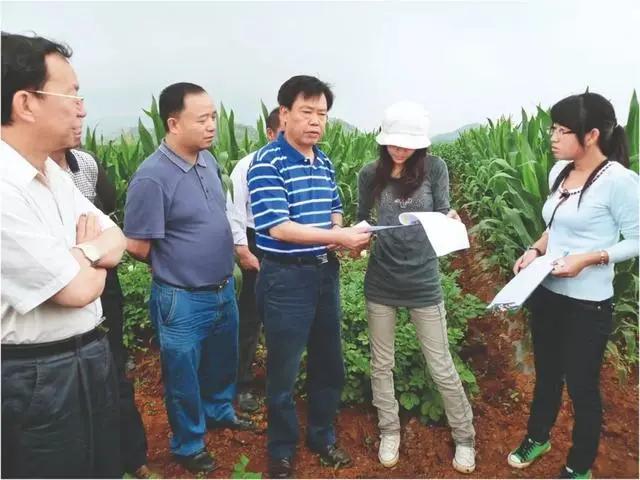 科技赋能“云农业”：稀缺要素回流“三农”振兴乡村 第7张