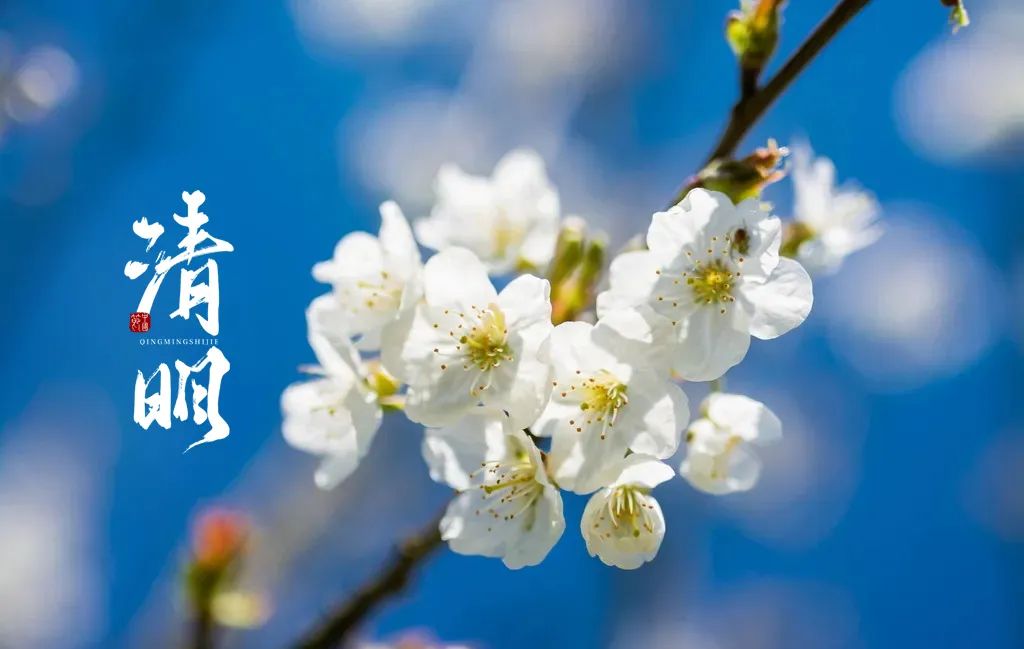 关于清明的诗词大全（描写清明节的诗句古诗鉴赏） 第1张