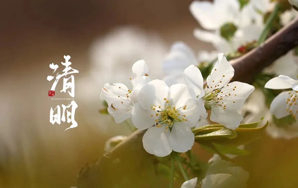 关于清明的诗词大全（描写清明节的诗句古诗鉴赏） 第21张