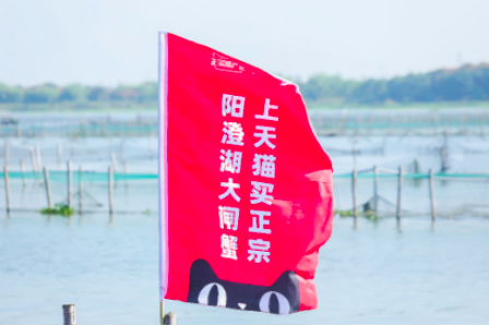 江浙沪混得好不好，看收没收到大闸蟹！天猫3000万只一天订完 第5张